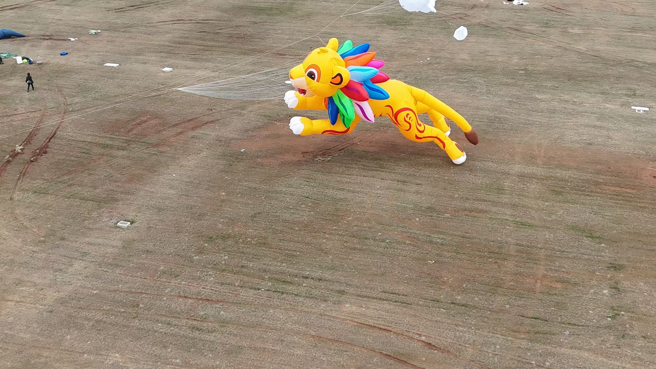 莱芜市品牌风筝定制风筝制作 - 厂家
